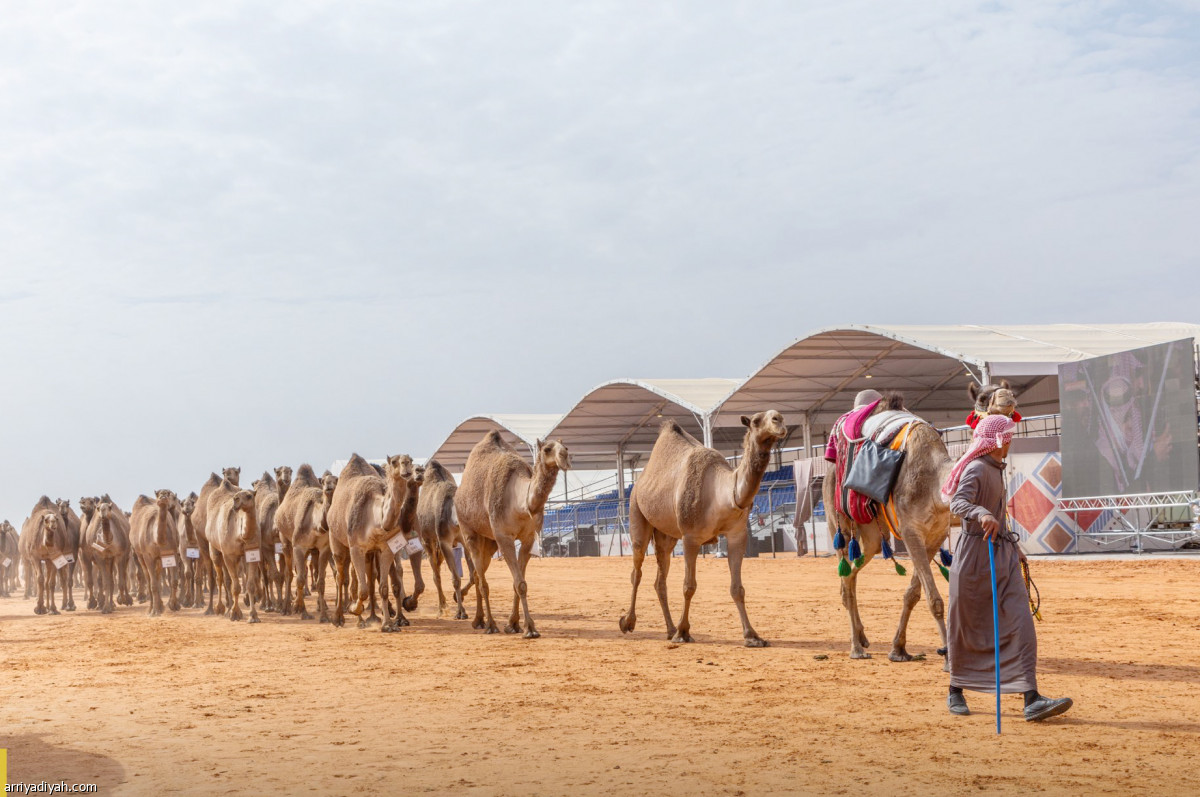 بيرق الموحد.. ابن سمار الأول