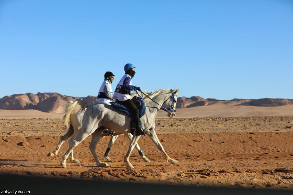 العلا تحتضن كأس خادم الحرمين الشريفين للقدرة والتحمل