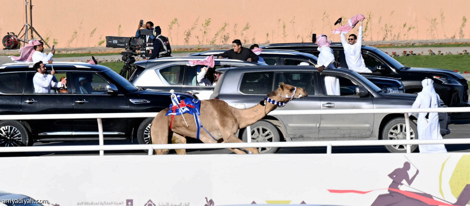 أمير الرياض يتوّج أبطال مهرجان خادم الحرمين الشريفين للهجن في نسخته الأولى