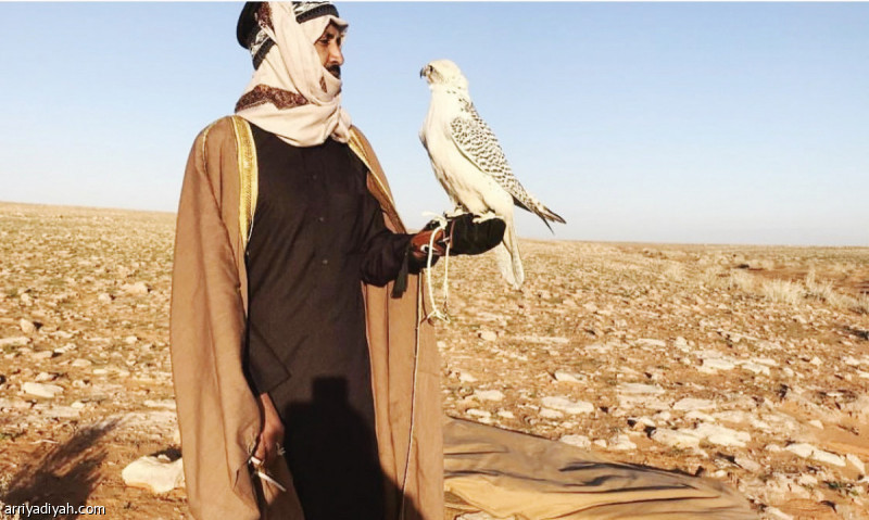 صورة التقطت في أكتوبر 2018 أثناء مقناصنا بالصقور في الحدود الشمالية، وكانت الصورة مع أحد الصقور التي نستعد لإطلاقها على الحبارى أثناء عبورها، وتُعد هذه الرحلات هي فلترة للروح والنفس بعد عناء موسم كامل من العمل والارتباط. تركي الميزاني شاعر سعودي