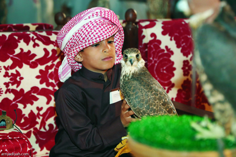 صورة التقطت أمس لأحد الأطفال يمسك بصقر خلال زيارته معرض الصقور والصيد السعودي الأول في الرياض الذي ينظم اليوم أول مزاد للهجن على هامش الفعاليات بمشاركة 30 مطية اختيرت بعناية تصوير: فهد المري وبندر الرمالي