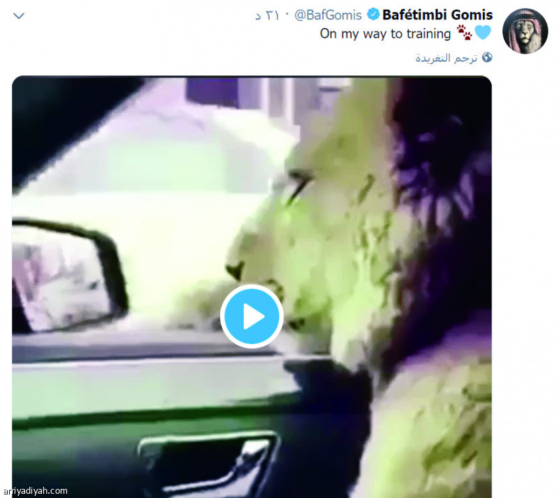 جوميز..
شبل.. وشلة سعودية