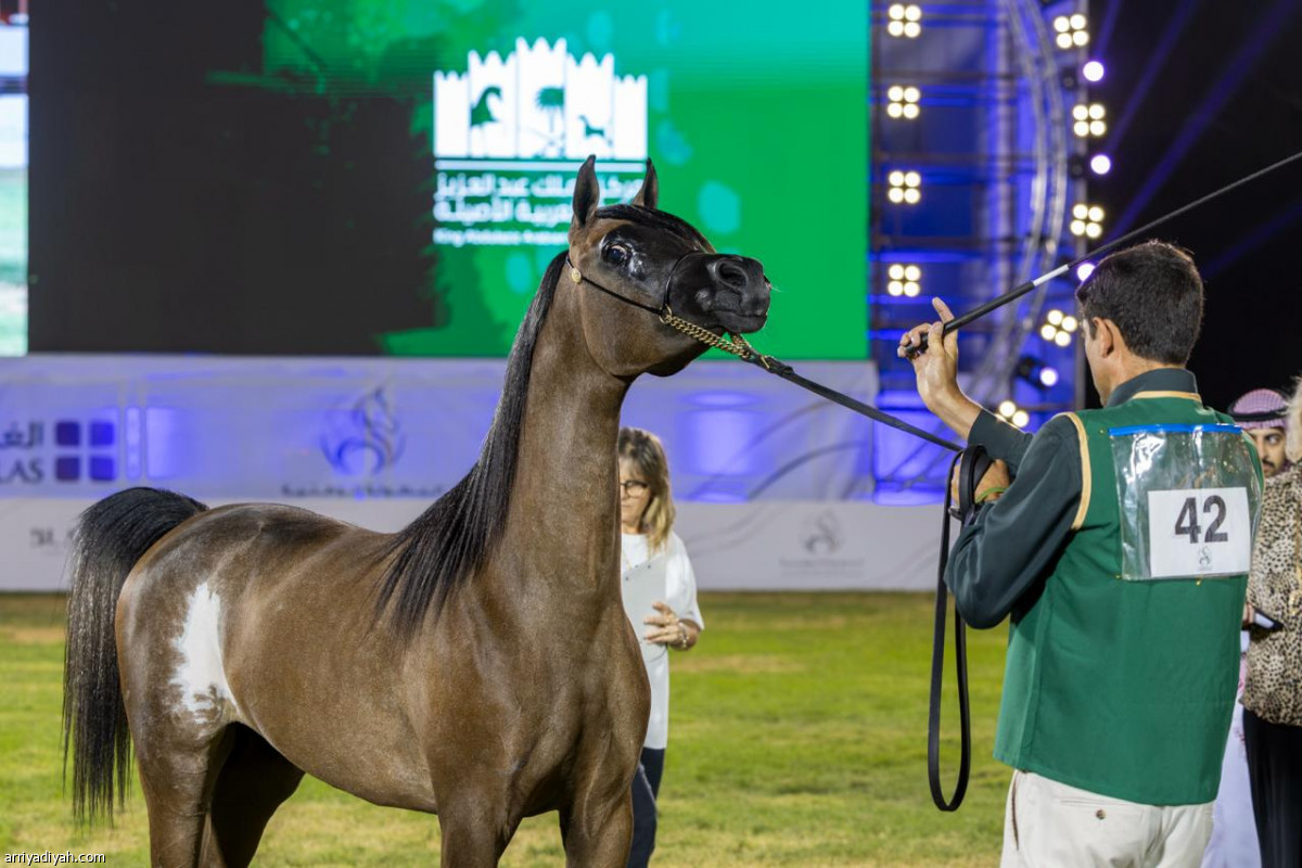 جمال الخيل العربية