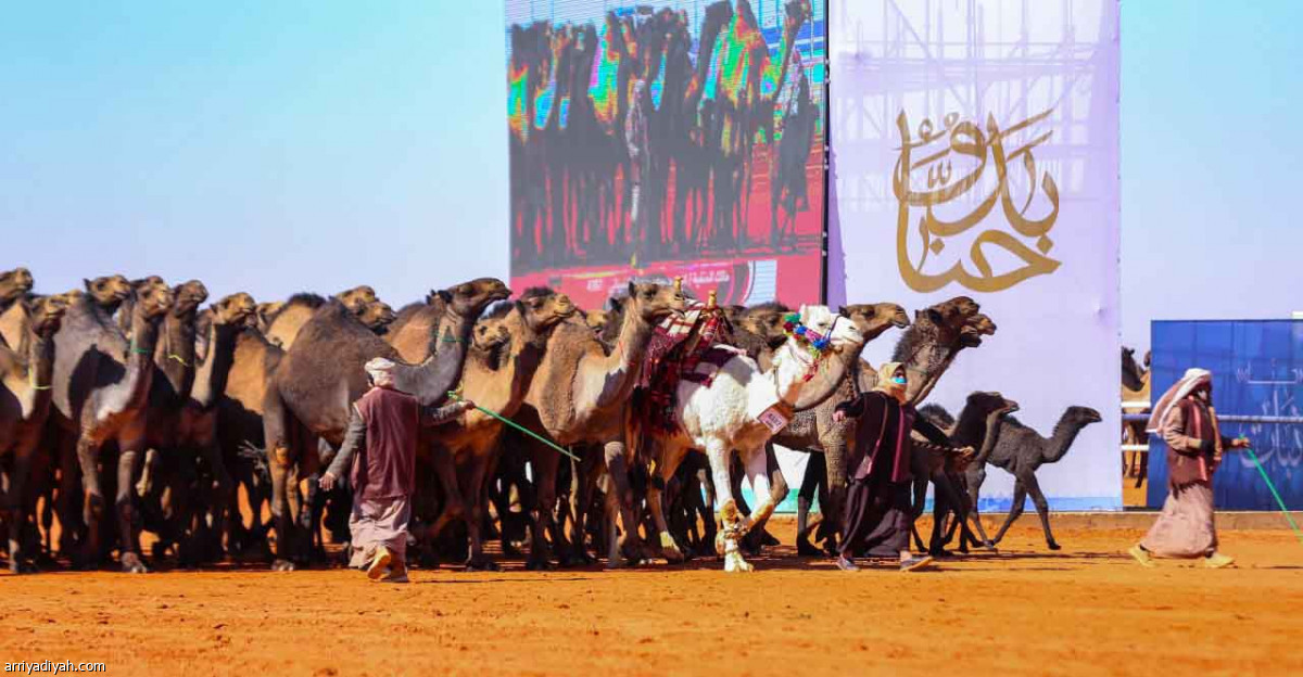 مهرجان المؤسس.. عروض مميزة