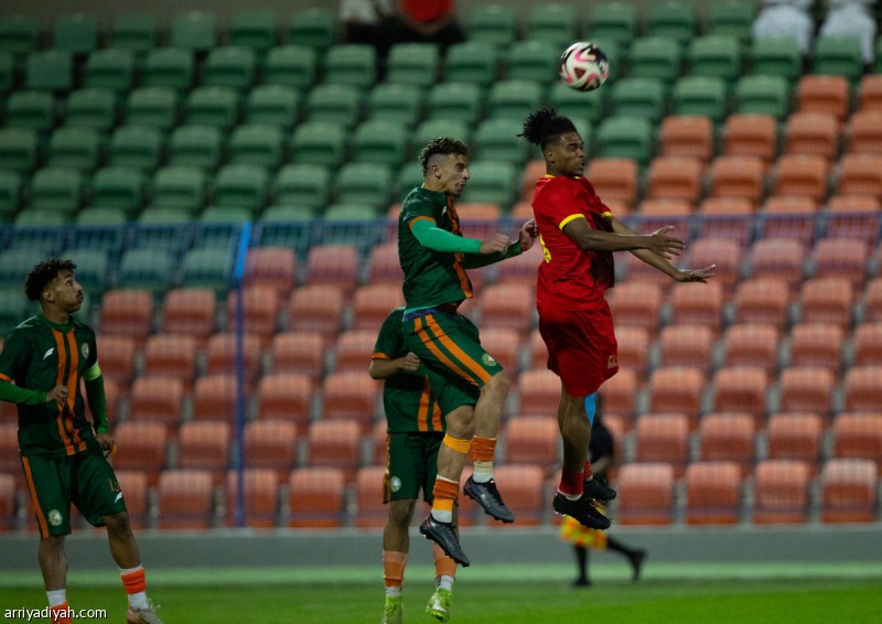 التضامن إلى دوري النخبة