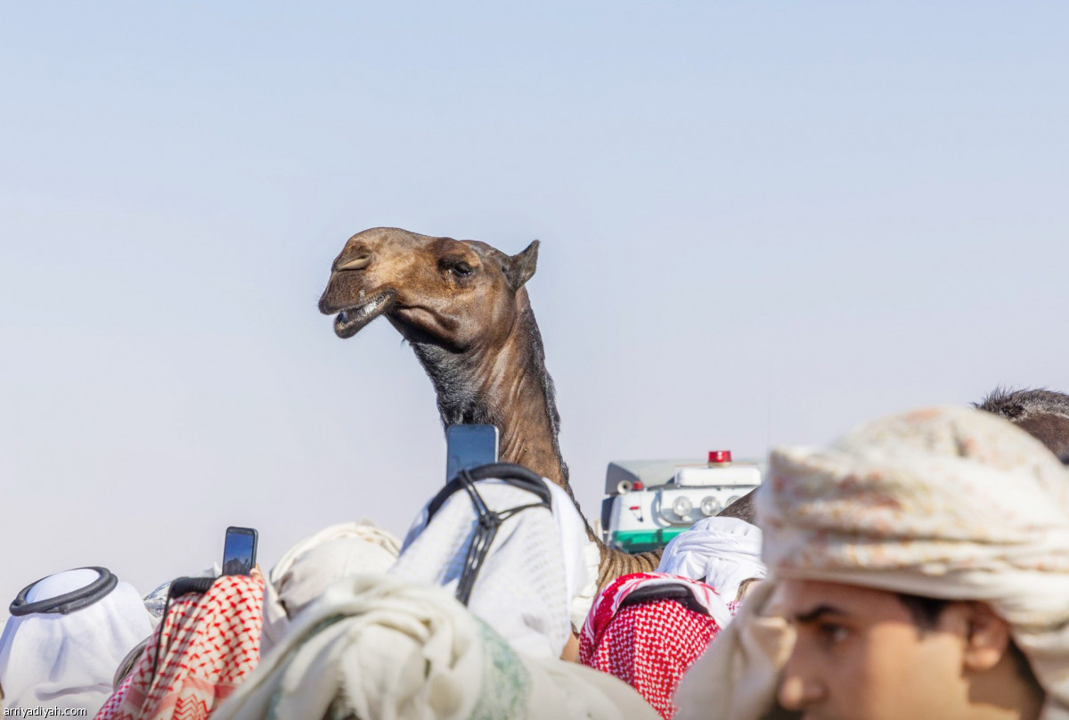 تحدي الصياهد