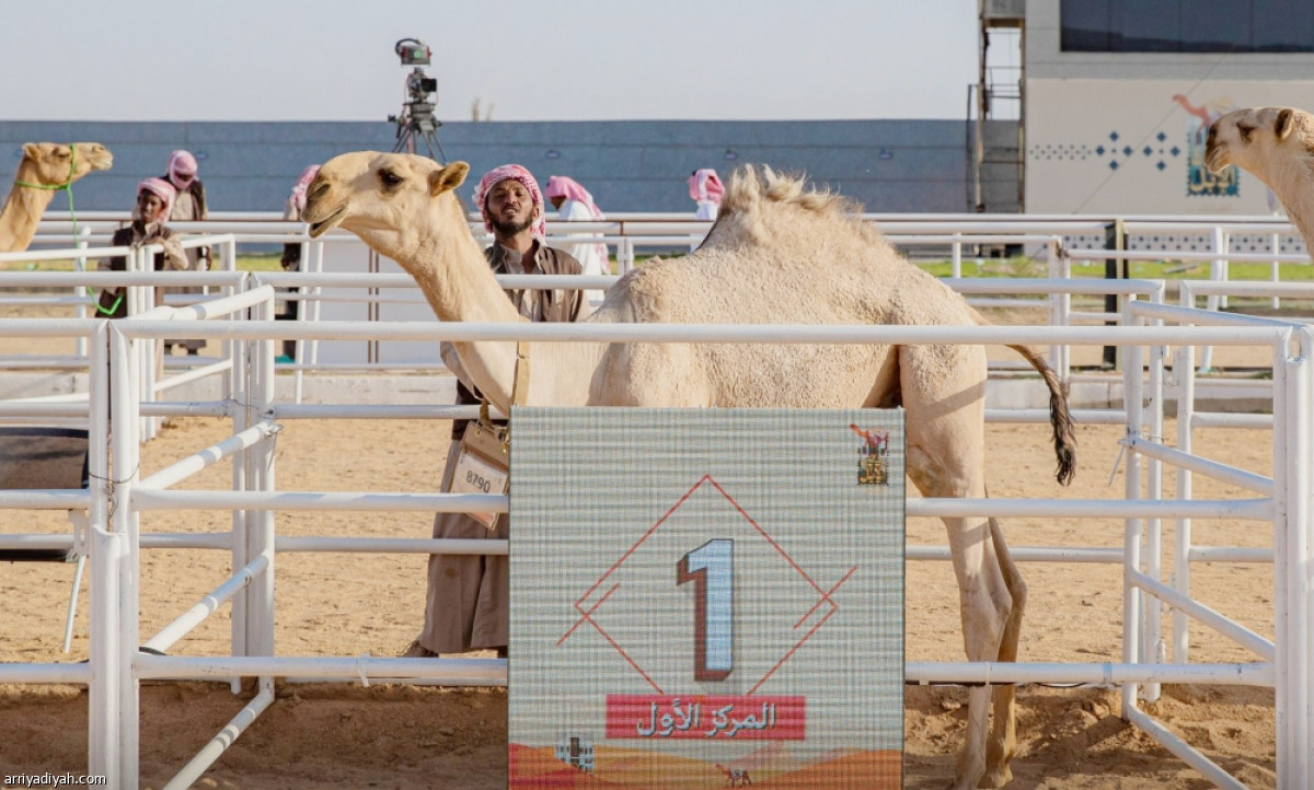 مفاريد الجادة