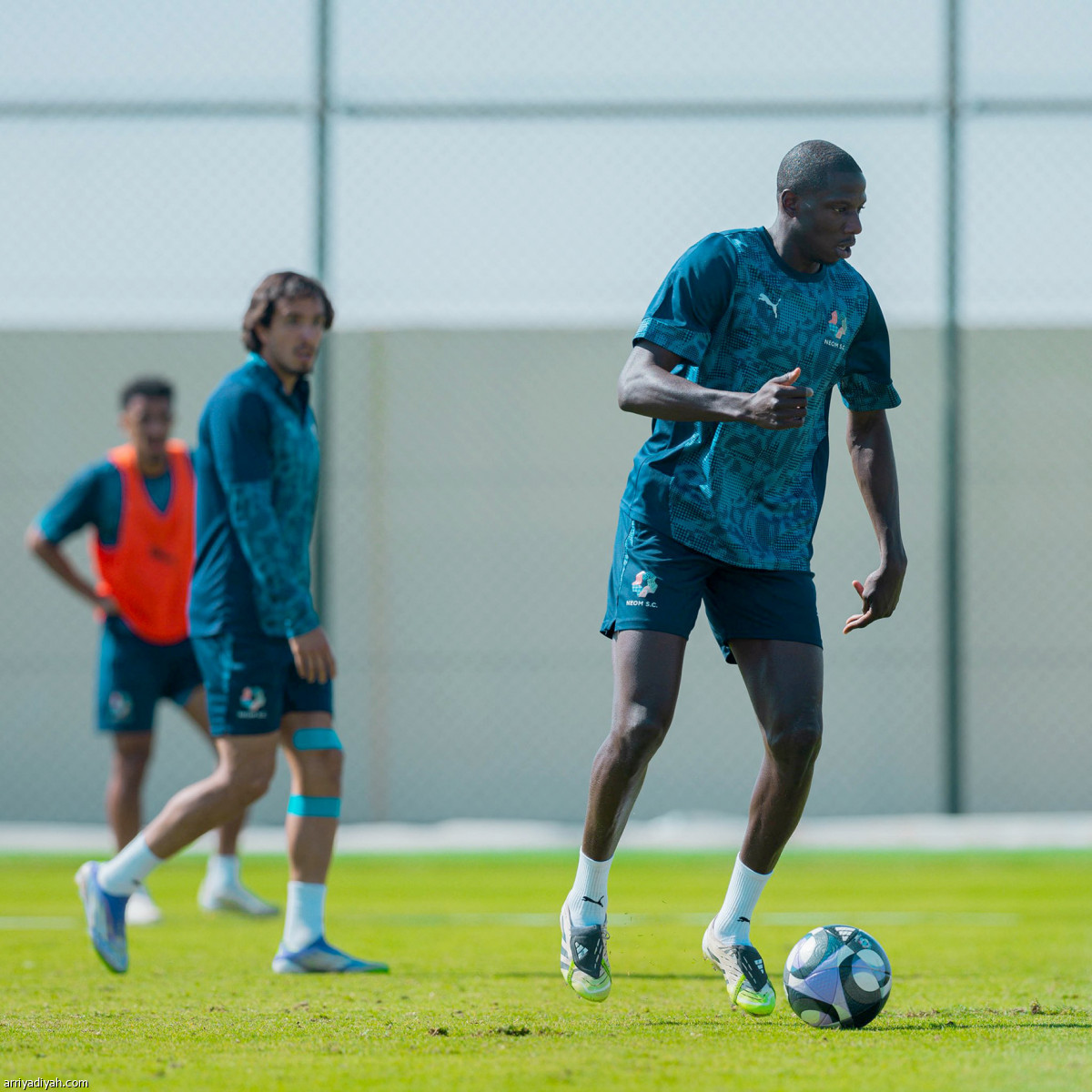 اللمسات الأخيرة