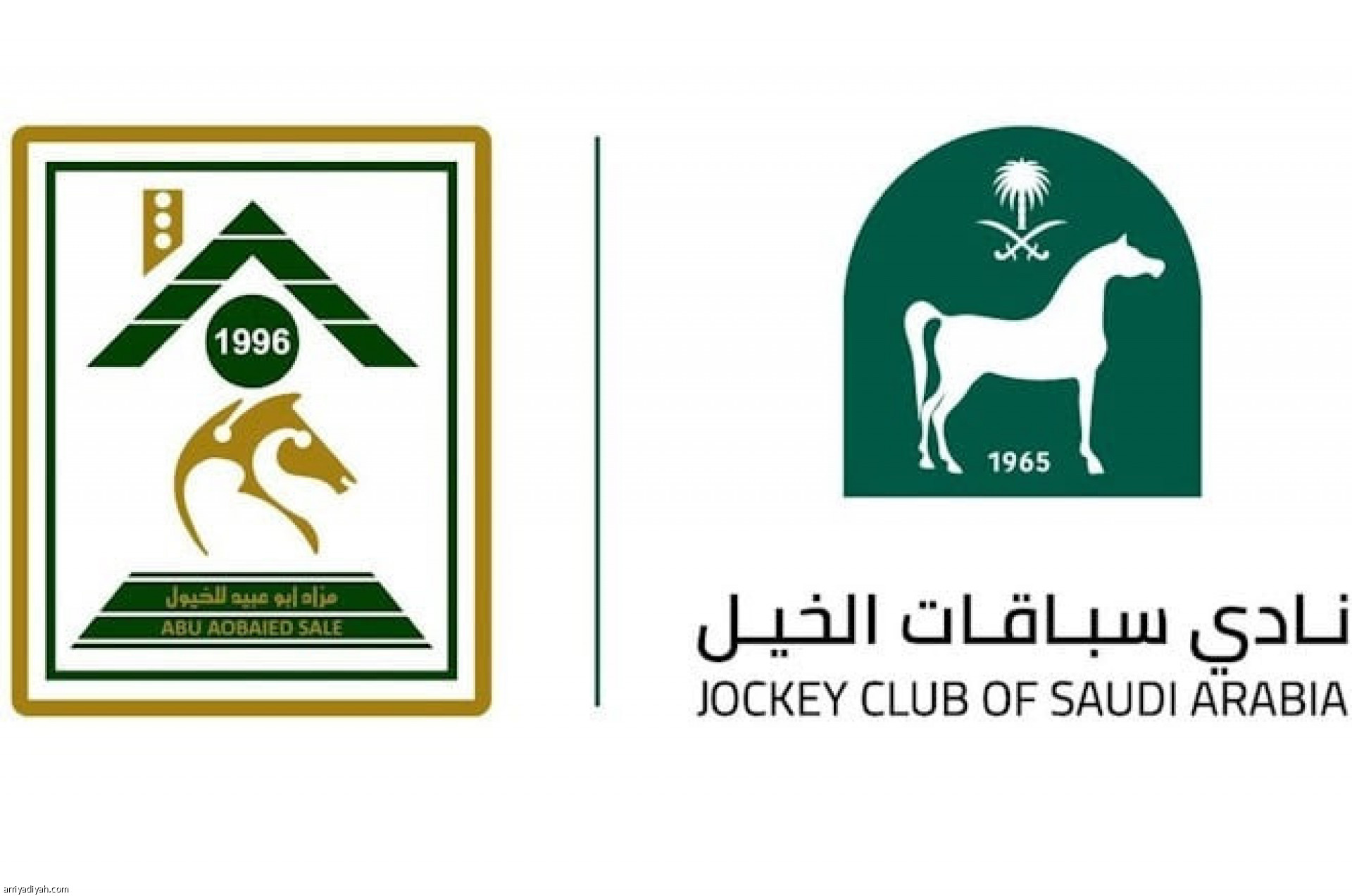 Equestrian Racing Club Announces 2026 Auction with 420 Horses
