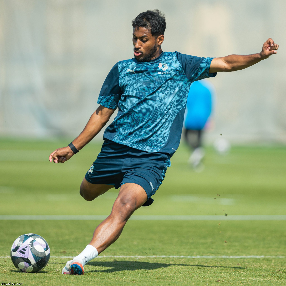 تحضيرات نيوم