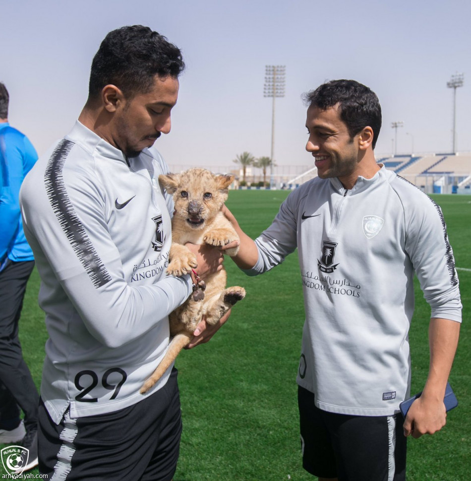 «شبل» يظهر في تدريبات الهلال قبل الاتحاد