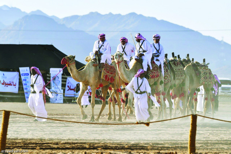 انطلاق مهرجان “ ناركم حية “