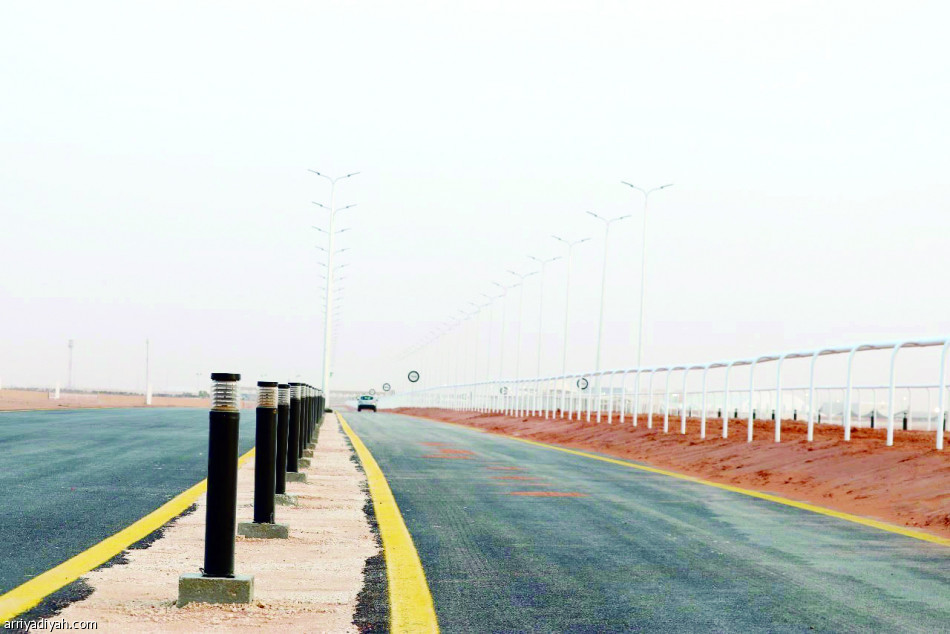 الأربعاء.. مضمار الهجن جاهز
