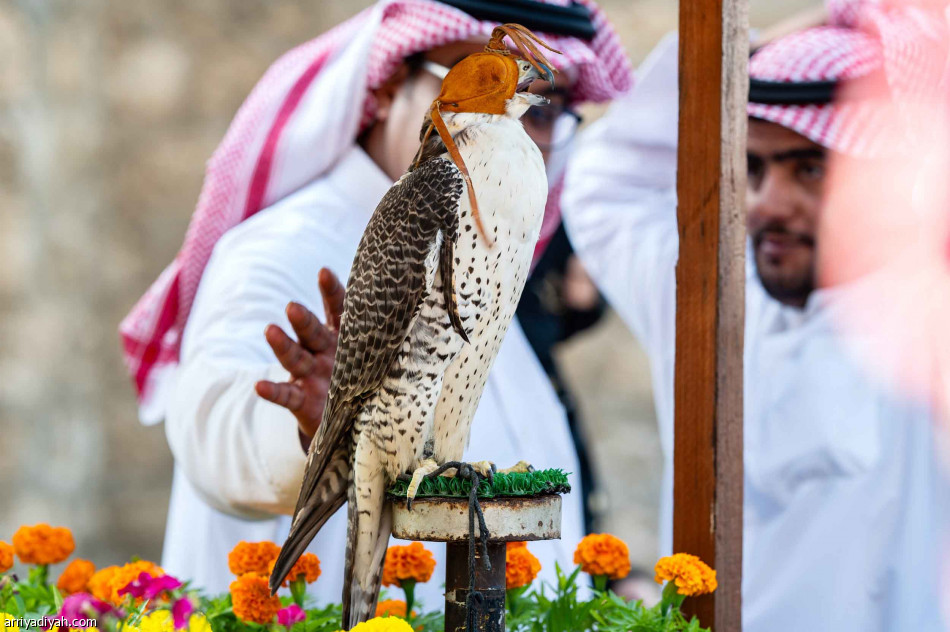 أهازيج تاريخية تُدشن مسيرة جدة