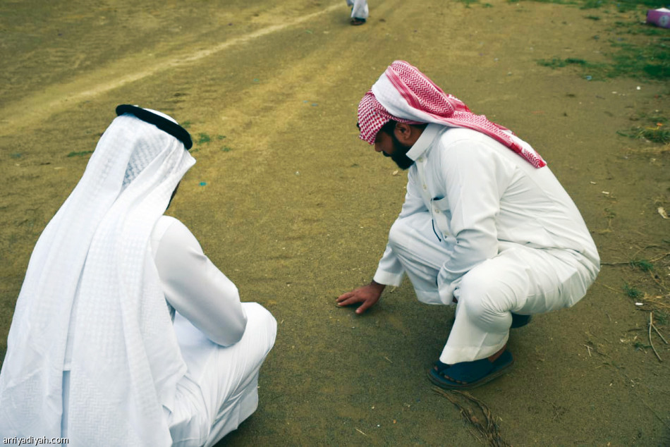 الملعب المنحوت
قصة تنتظر نهاية جميلة
