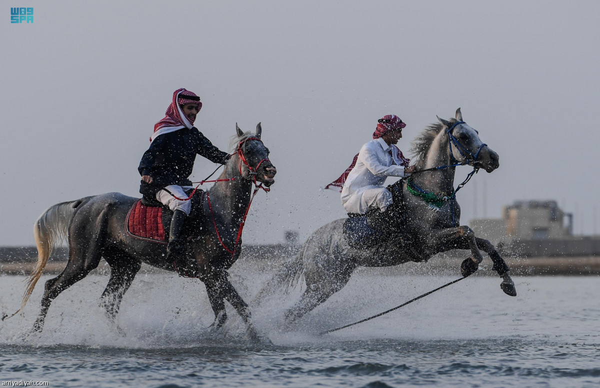 بالخيول أهالي جدة يحتفلون