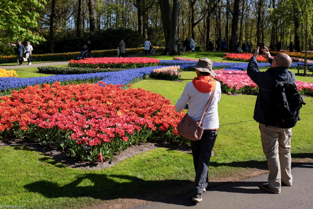 موسم الزهور