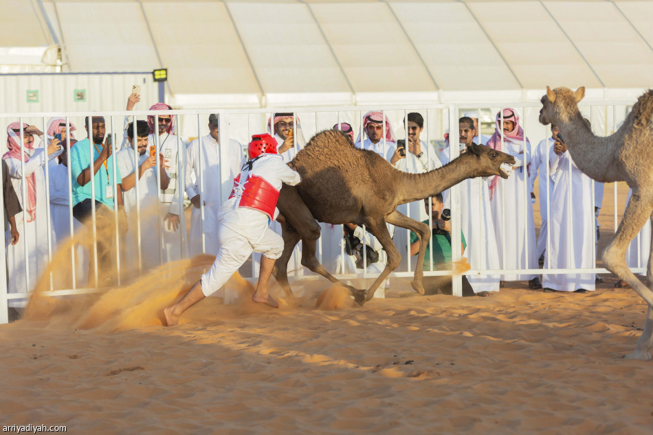 نواف وشيحان
بطلا طرح القعود