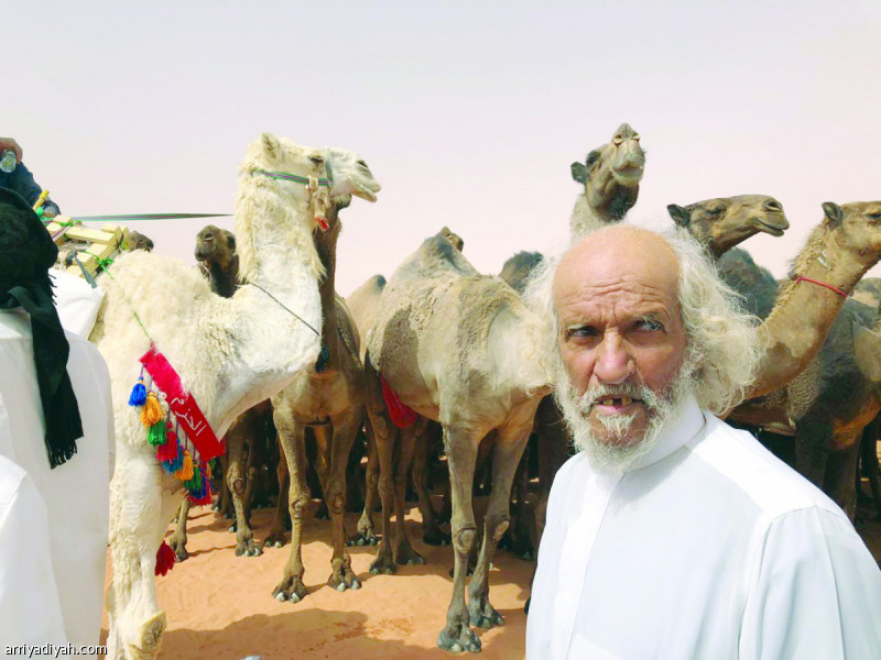 صور التقطت أمس لحجاج الشيباني خلال وجوده في مسيرة ابن دغيثر في منافسات مهرجان الملك عبدالعزيز للإبل في الصياهدتصوير: بندر الرمالي