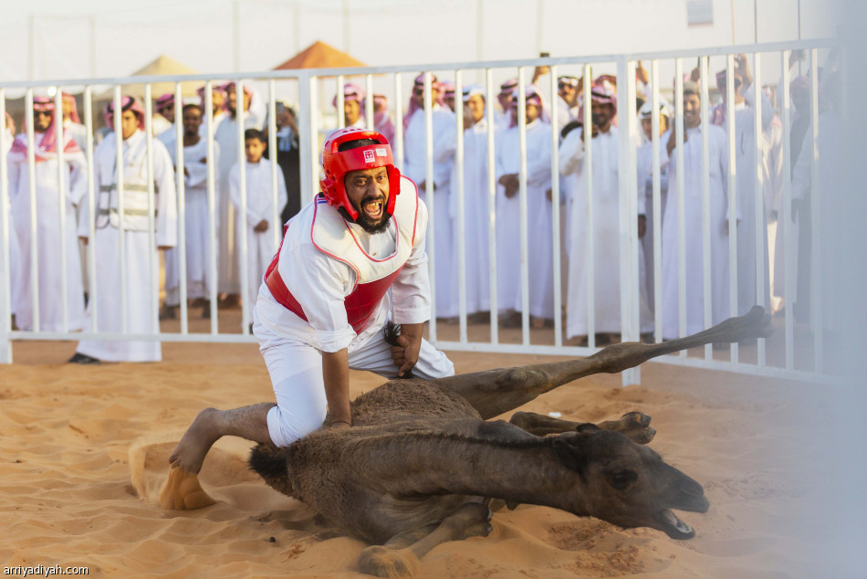 نواف وشيحان
بطلا طرح القعود