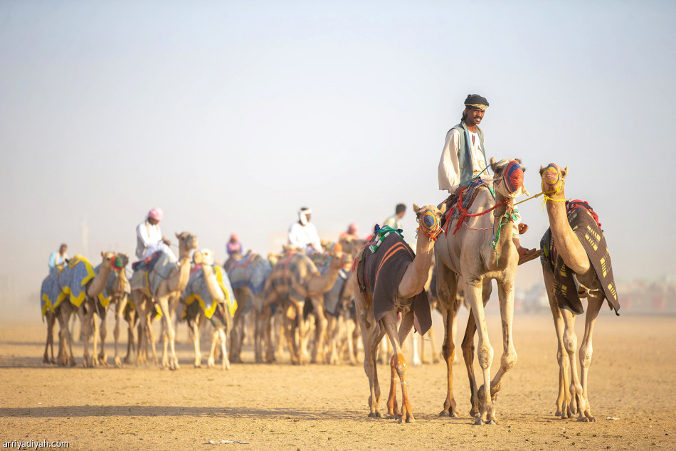 «سيوف»..
انتقال ملكية
وتوقيت أسرع