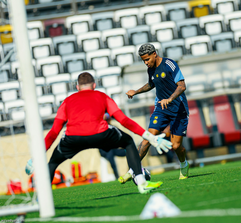 استعداد قبل الوحدة