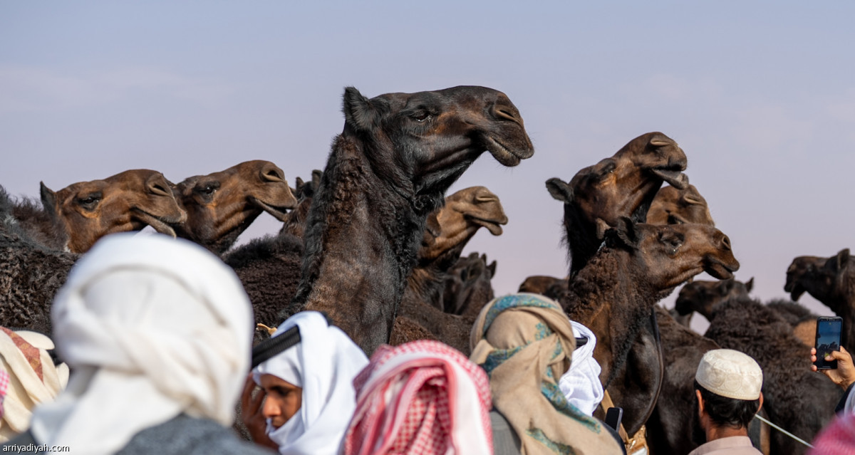 منافسة واحتفال