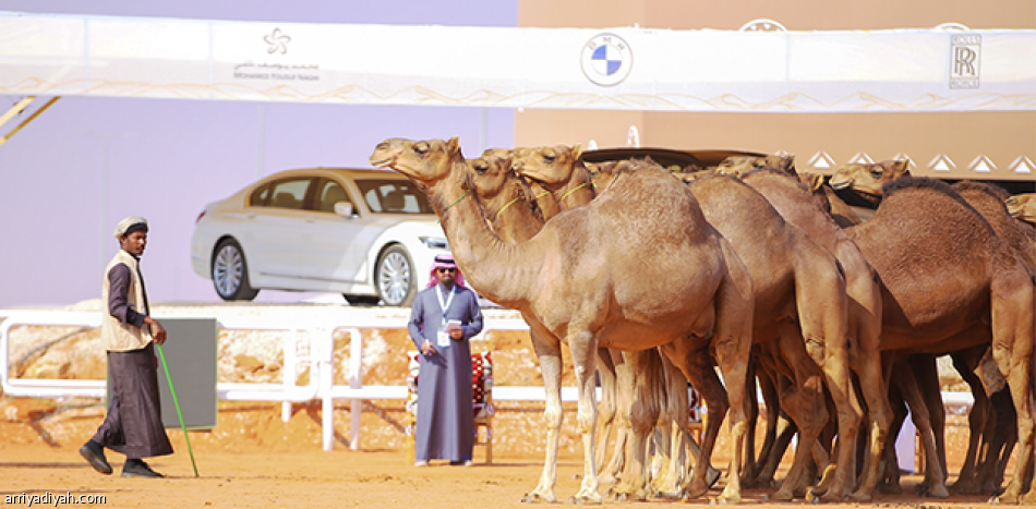 ابن عميره 
ينتزع صدارة «بداوة الصفر»