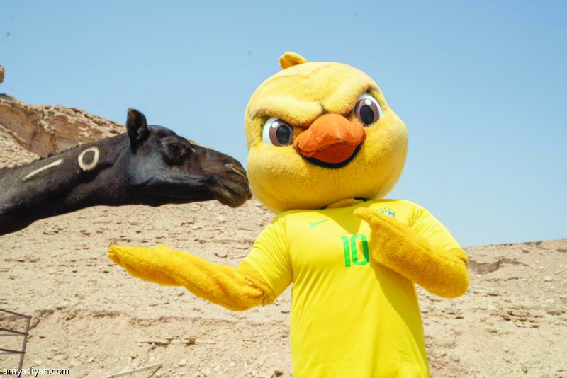 جاب