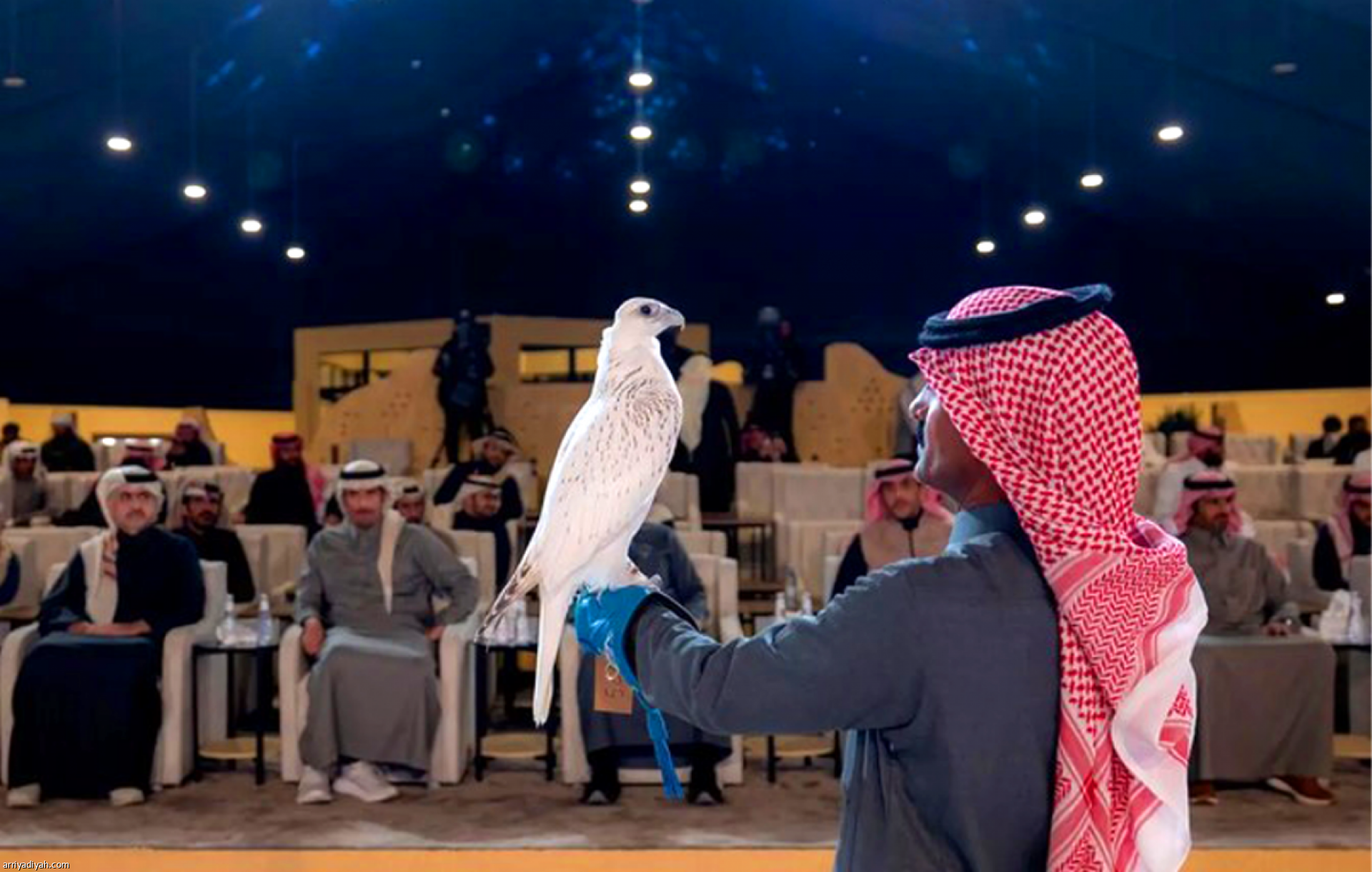 National Falconry Center Announces Registration for King Abdulaziz Festival 2026