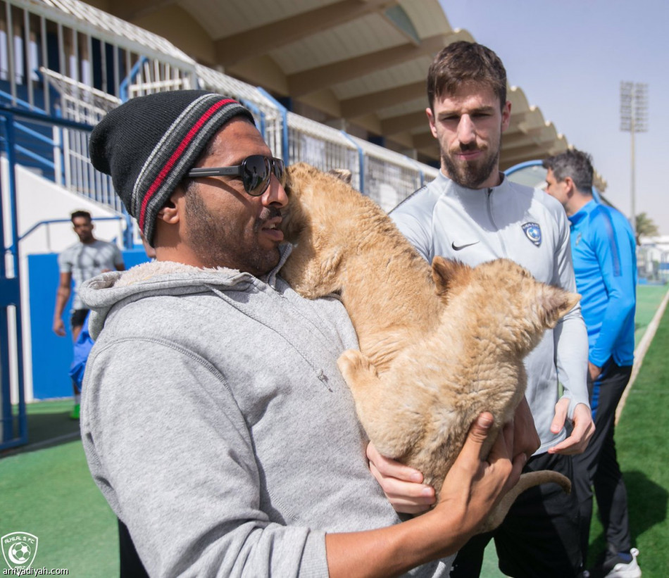 «شبل» يظهر في تدريبات الهلال قبل الاتحاد