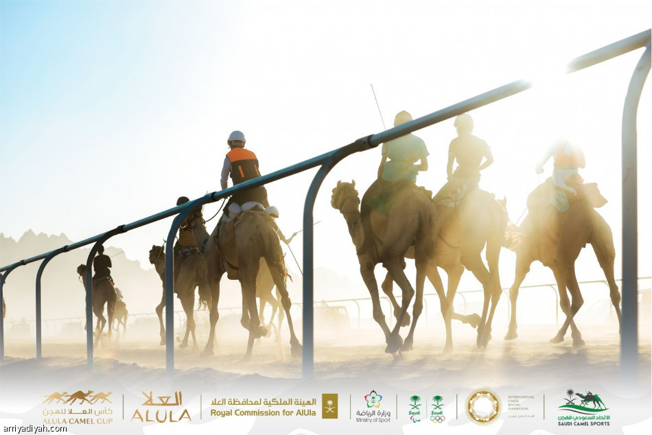 Spannende concurrentie bij de lancering van de Al-Ula Camel Cup