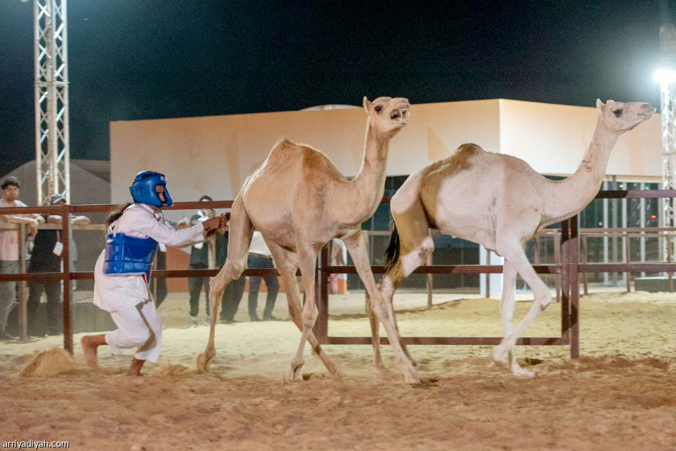 الشراري..
مهندس رافق الإبل 30 عاما