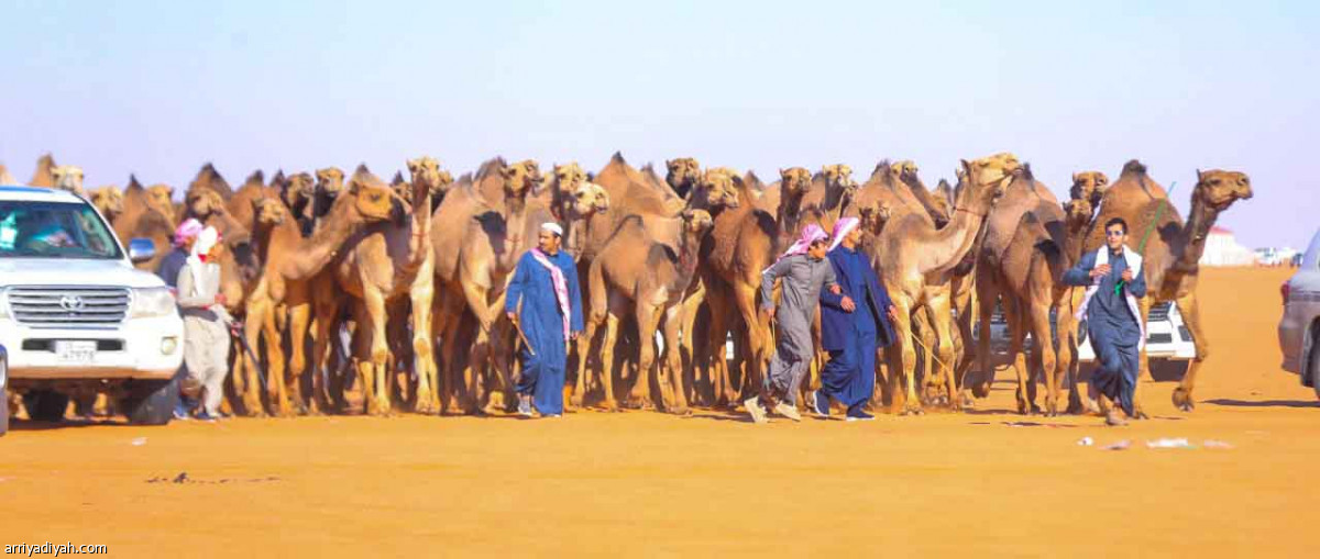 مهرجان المؤسس.. عروض مميزة