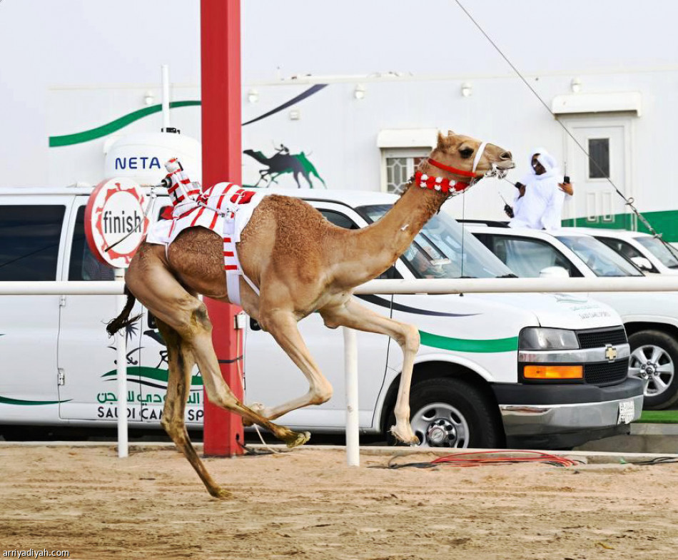 مهرجان ولي العهد..
انتصارات خليجية