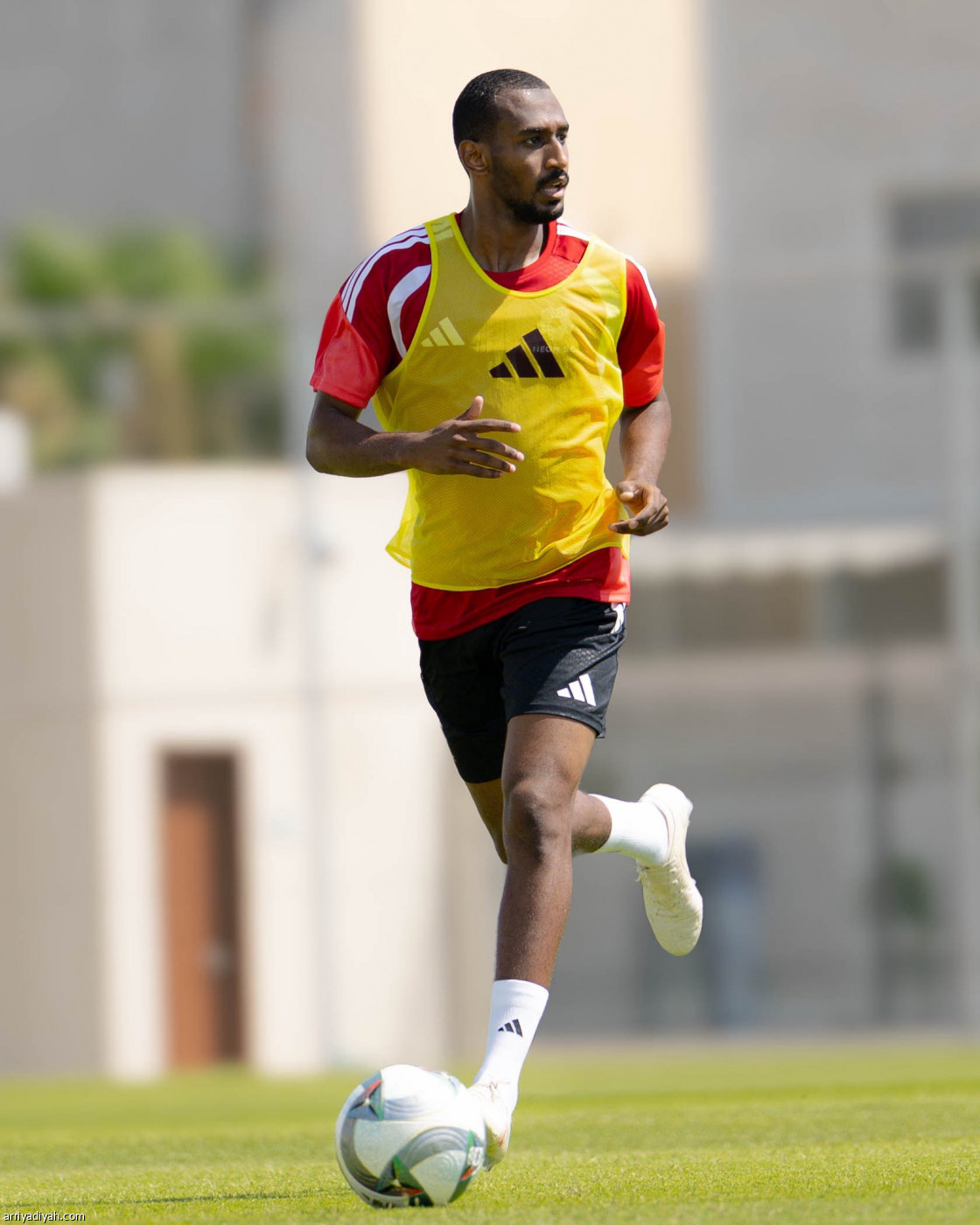 نيوم يناور