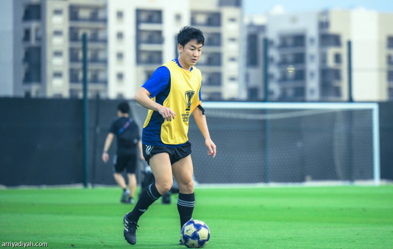 قوة ماتشيدا.. محطات مع الساموراي وتجارب خارجية