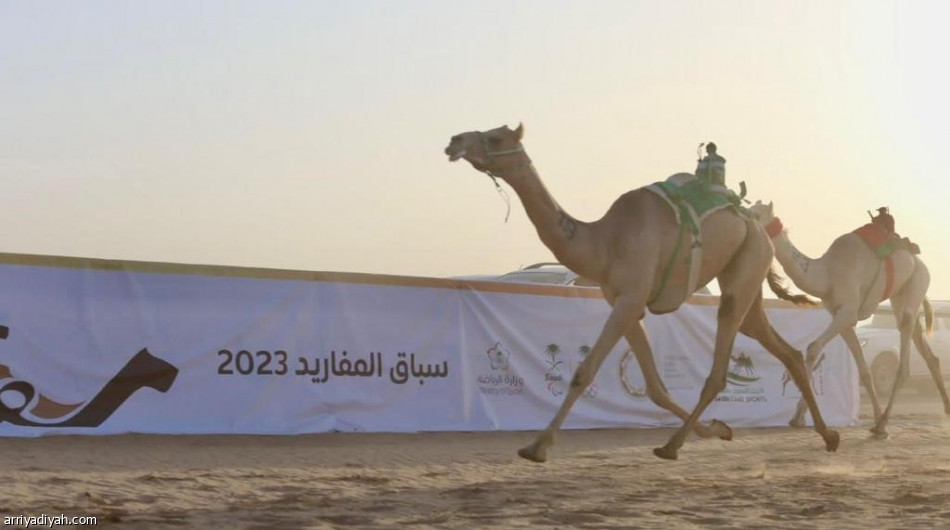 اتحاد الهجن يعلن مشاركة 3030 مطية