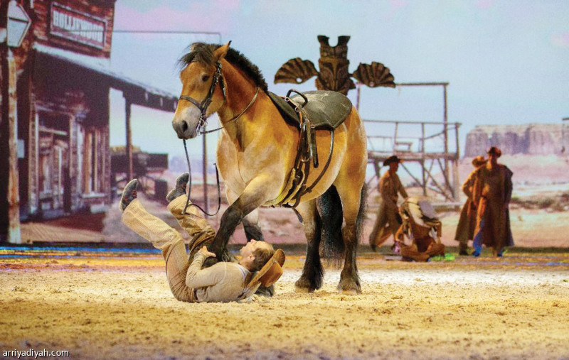 الحلم الساحر
ترويض خيول.. وعروض فكاهية
