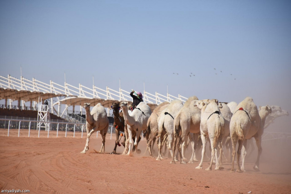 القريشي يحقق لقب “أفضل طبع”