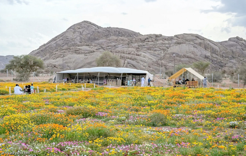 «توارن».. تنوع طبيعي وإرث يعزز السياحة في حائل