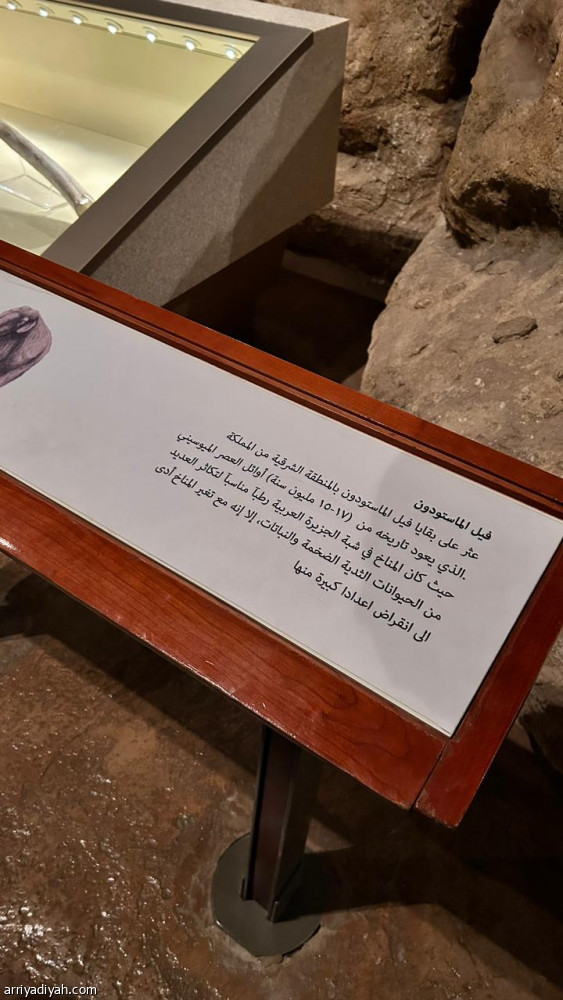 المتحف الوطني يطلق «العالم يعيد»