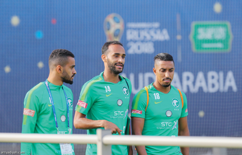 بيتزي
يصحح أخطاء الدفاع