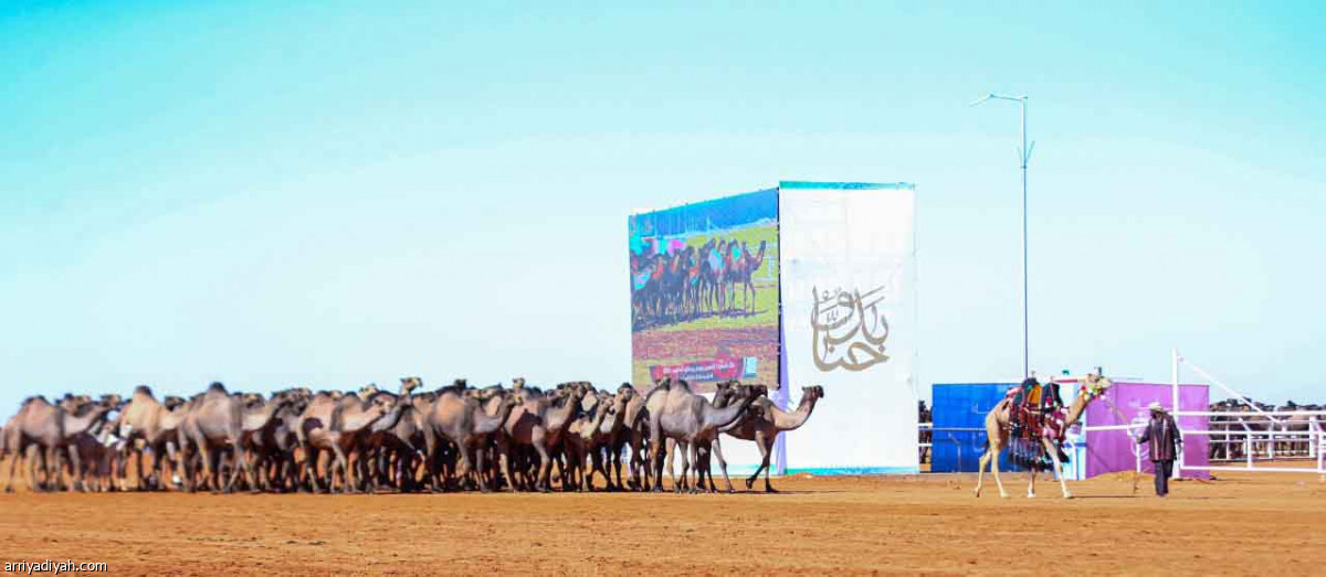 مهرجان المؤسس.. عروض مميزة