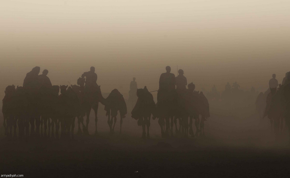 مهرجان ولي العهد للهجن.. ختام منافسات الجذاع