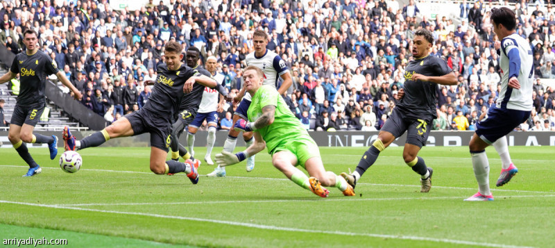 Everton’s woes add to Tottenham’s sports activities newspaper