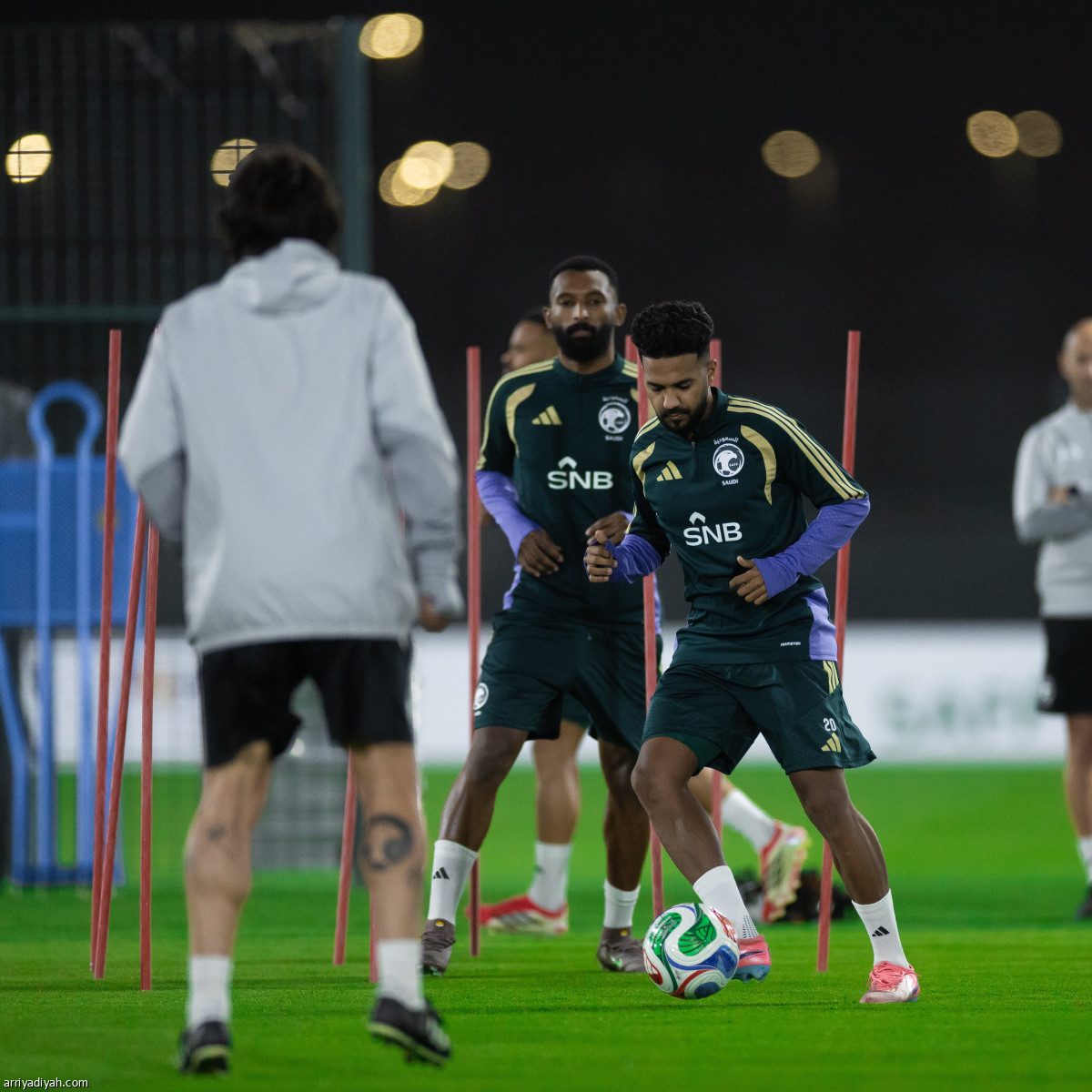 الصقور جاهزة