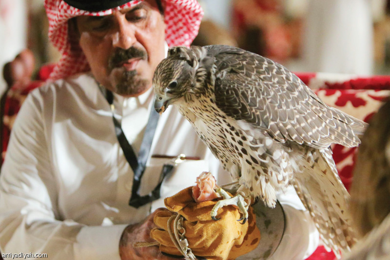 اليوم الثاني..
15 ألف زائر في المعرض