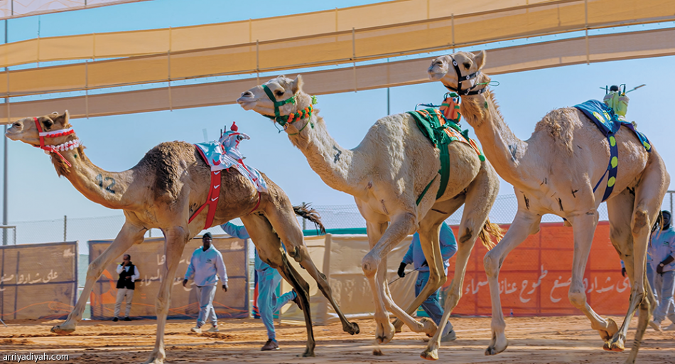 «الزعيمات» 
تسيطر على الشقح