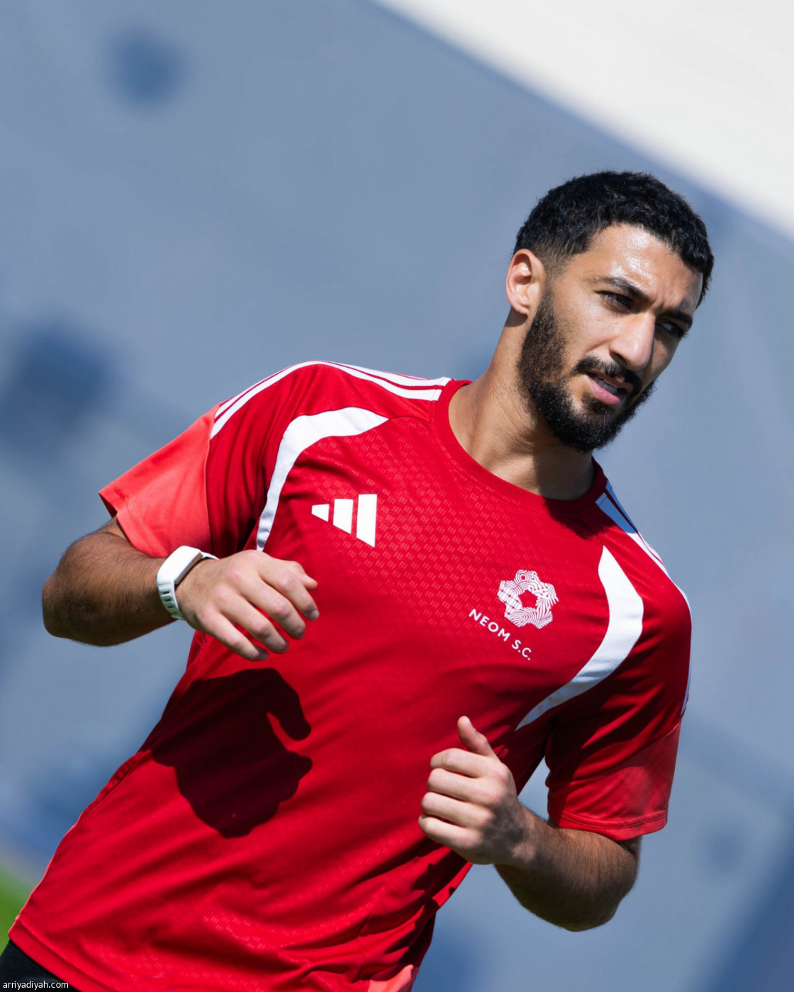 مناورة المساعد